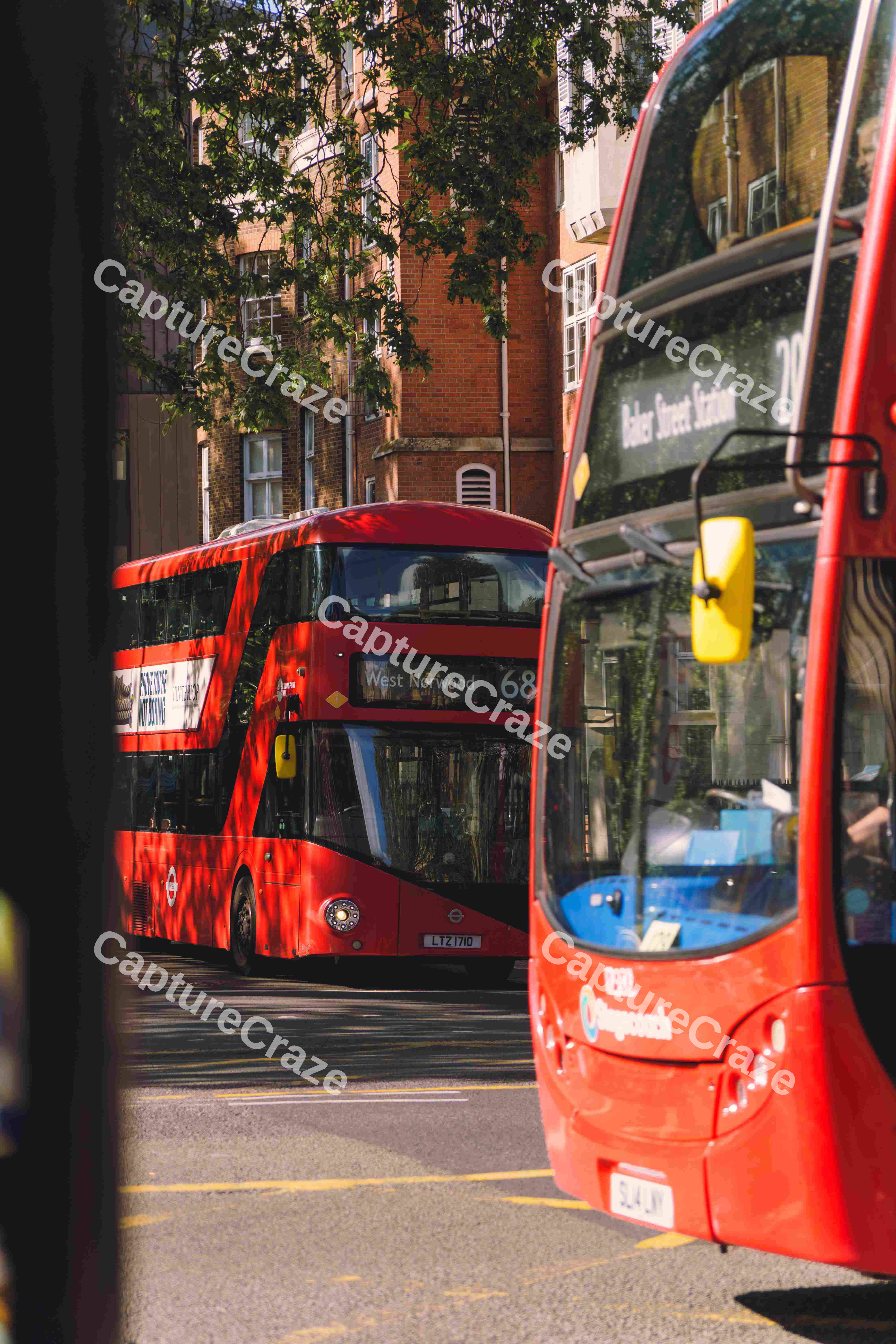 Two Red Buses